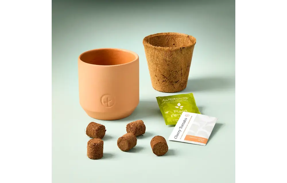 Baby Watermelon Tiny Terracotta Garden Kit