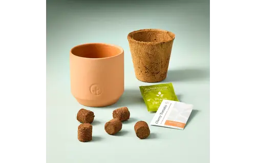 Baby Watermelon Tiny Terracotta Garden Kit