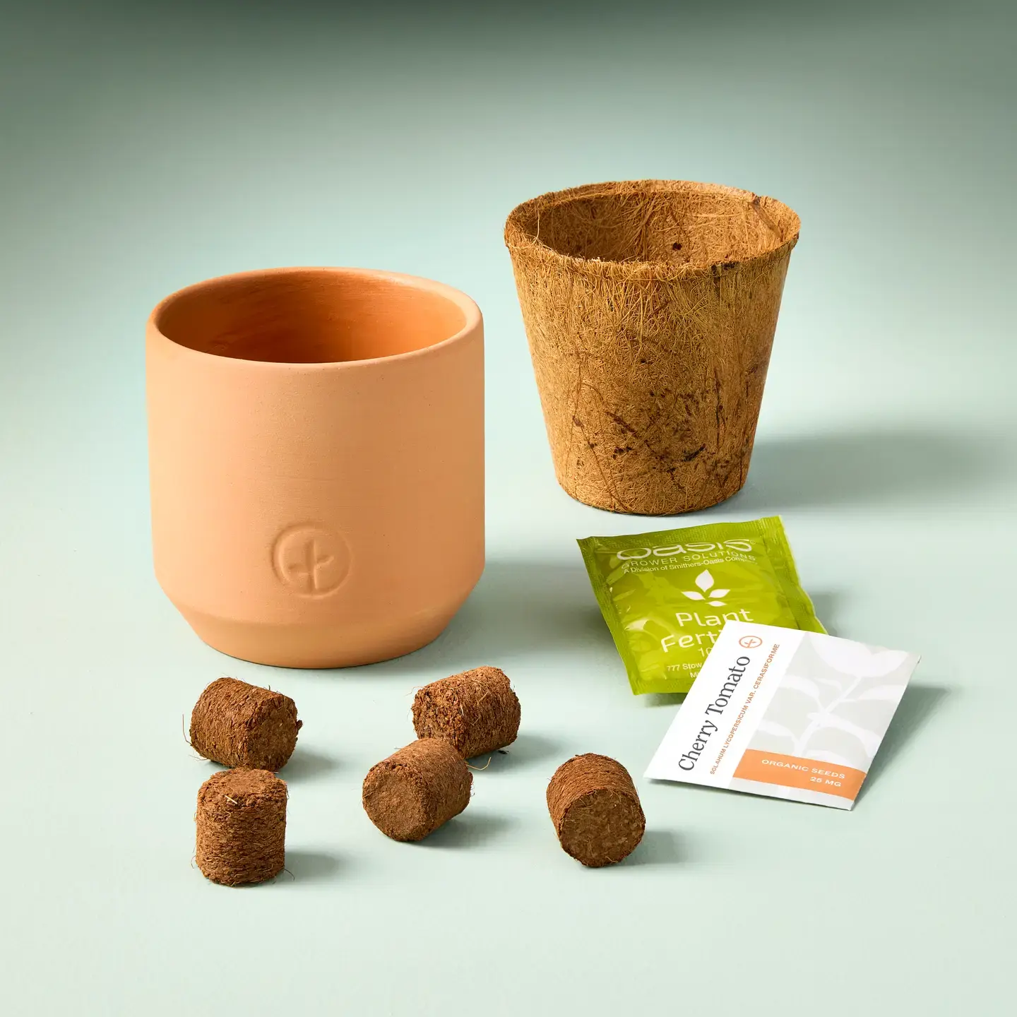 Baby Watermelon Tiny Terracotta Garden Kit