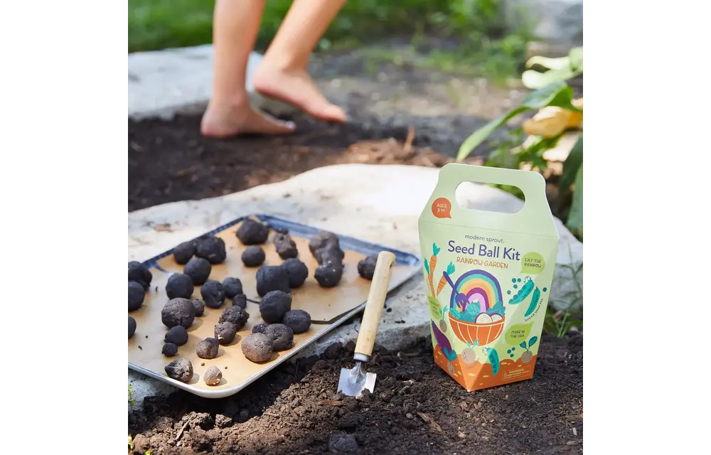 Wildflower Garden DIY Seed Ball Kit
