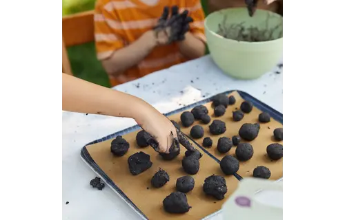 Wildflower Garden DIY Seed Ball Kit