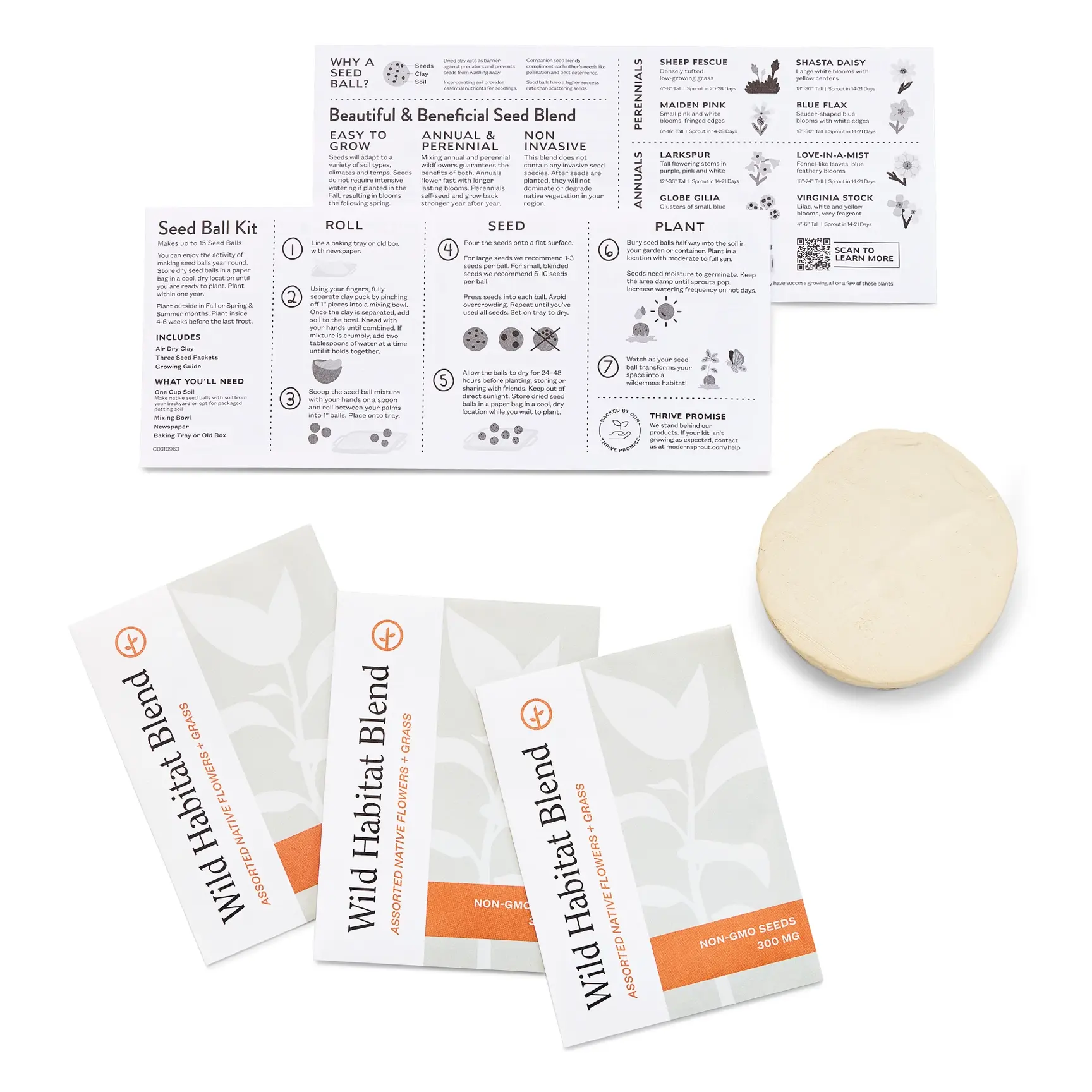 Wildflower Garden DIY Seed Ball Kit