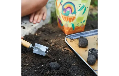 Wildflower Garden DIY Seed Ball Kit