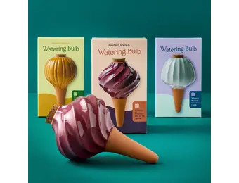 Terracotta Watering Bulb - Plum