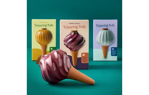 Terracotta Watering Bulb - Plum