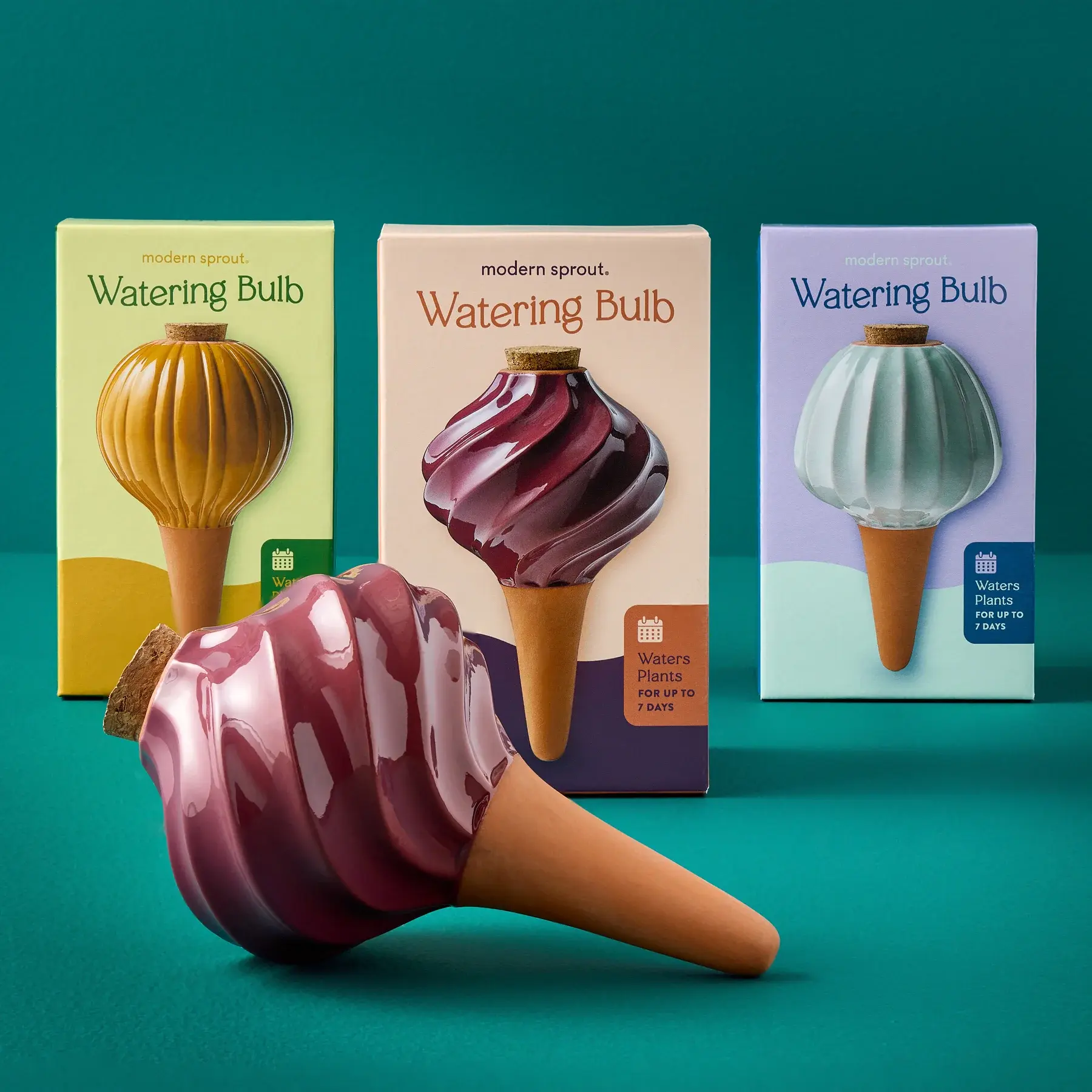 Terracotta Watering Bulb - Plum