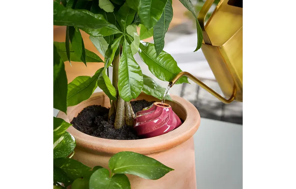 Terracotta Watering Bulb - Plum