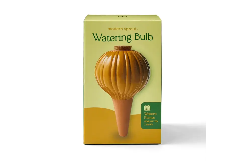 Terracotta Watering Bulb - Mustard