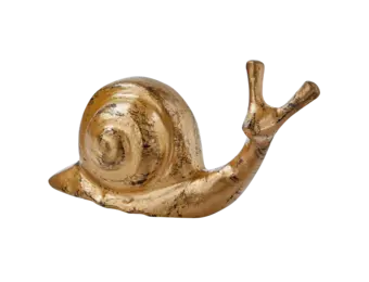 Garden Décor - Snail