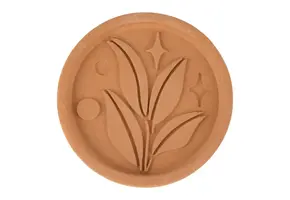 Brown Sugar Saver RSVP