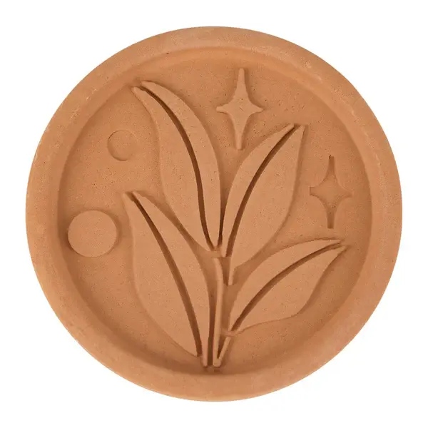 Brown Sugar Saver RSVP