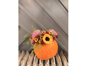 10/17/26 Floral Class: Doorstep Pumpkin Arrangment @6PM