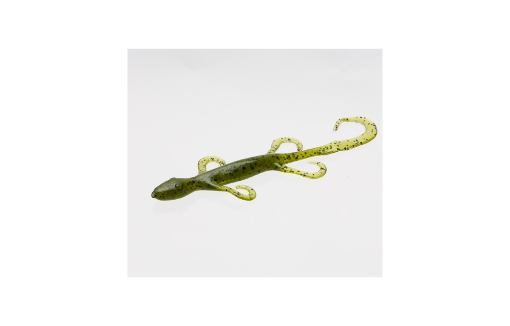 Lizard