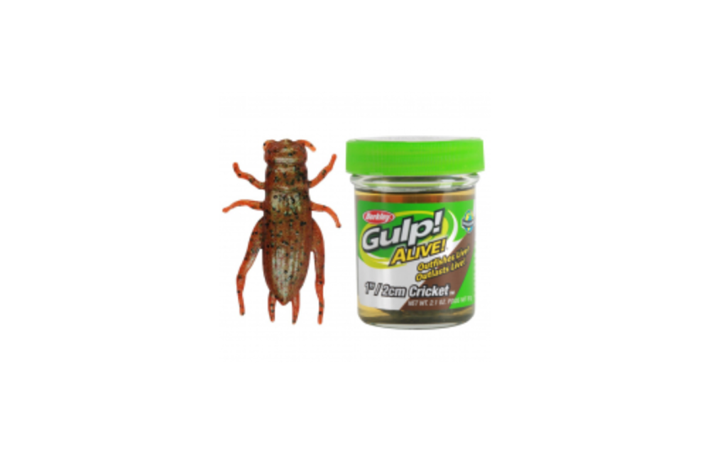 Berkley Gulp! Alive Cricket Brown