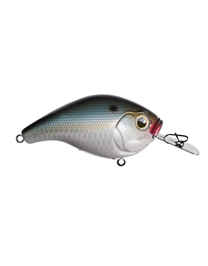 Choose Color 13 Fishing Jabber Jaw 60 Hybrid Squarebill Crankbait