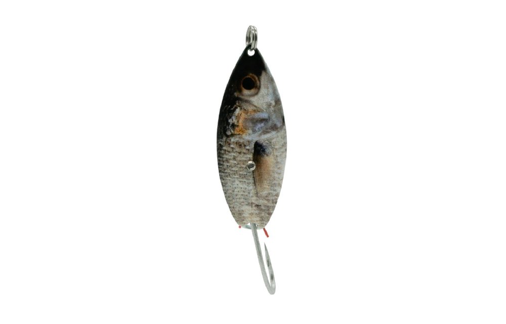 Aqua Dream Lures Weedless Live Bait Series Spoon