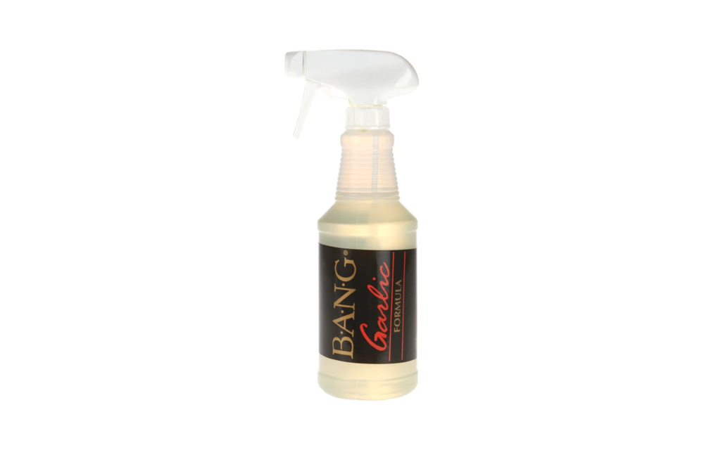 BANG Fish Attractant with Spray Nozzle 16 oz