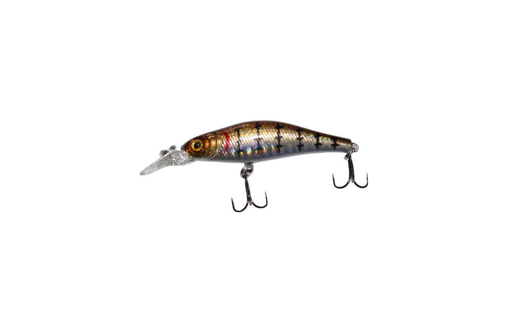 Matrix Minnow