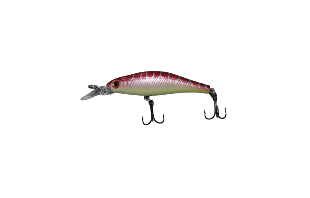 Matrix Minnow