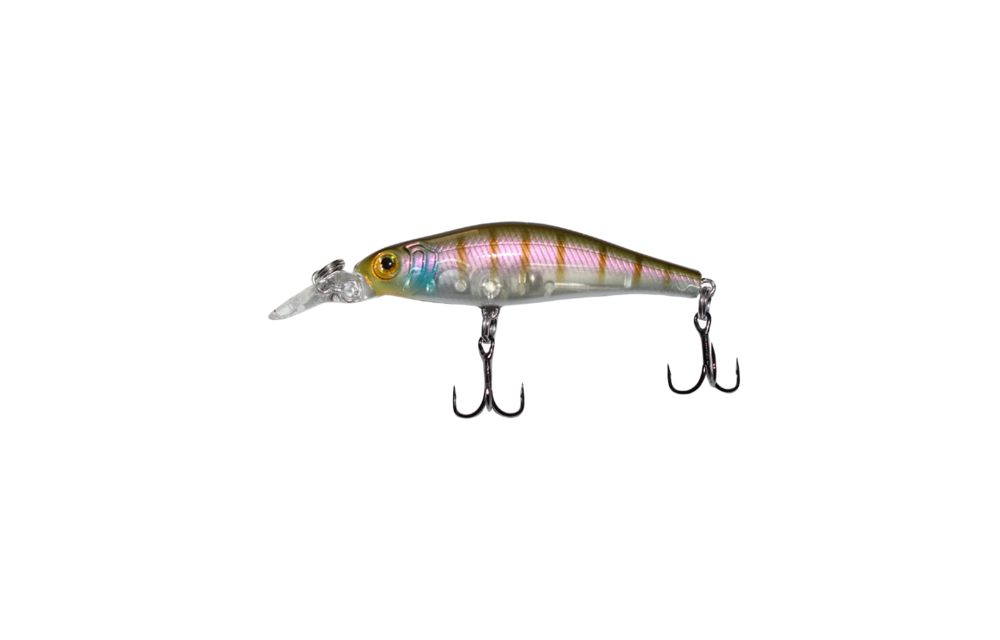 Matrix Minnow