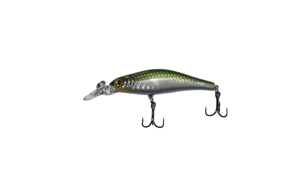 Matrix Minnow