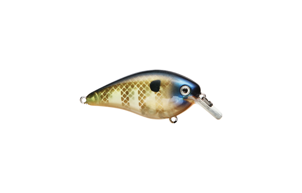 Strike King KVD HC Square Bill Silent Crankbait
