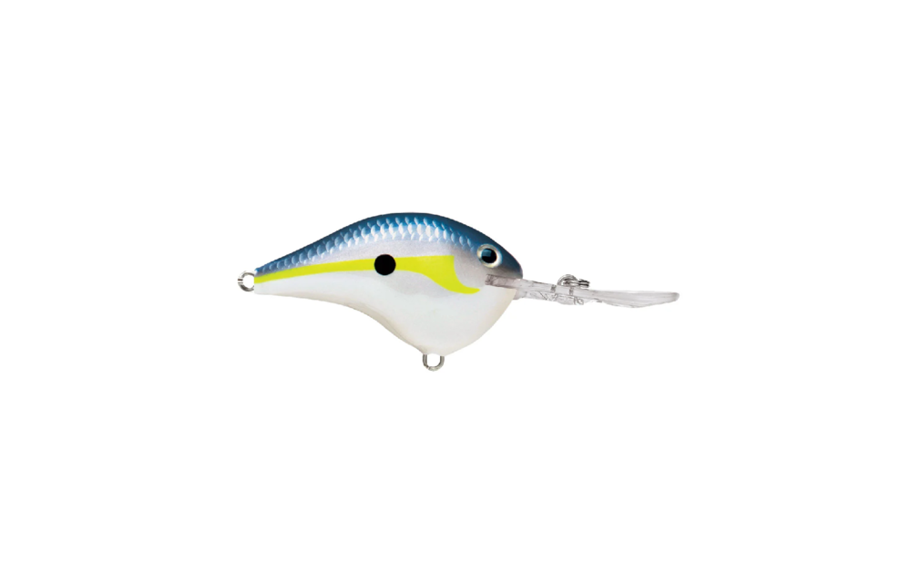 Rapala Dt Series Crankbaits