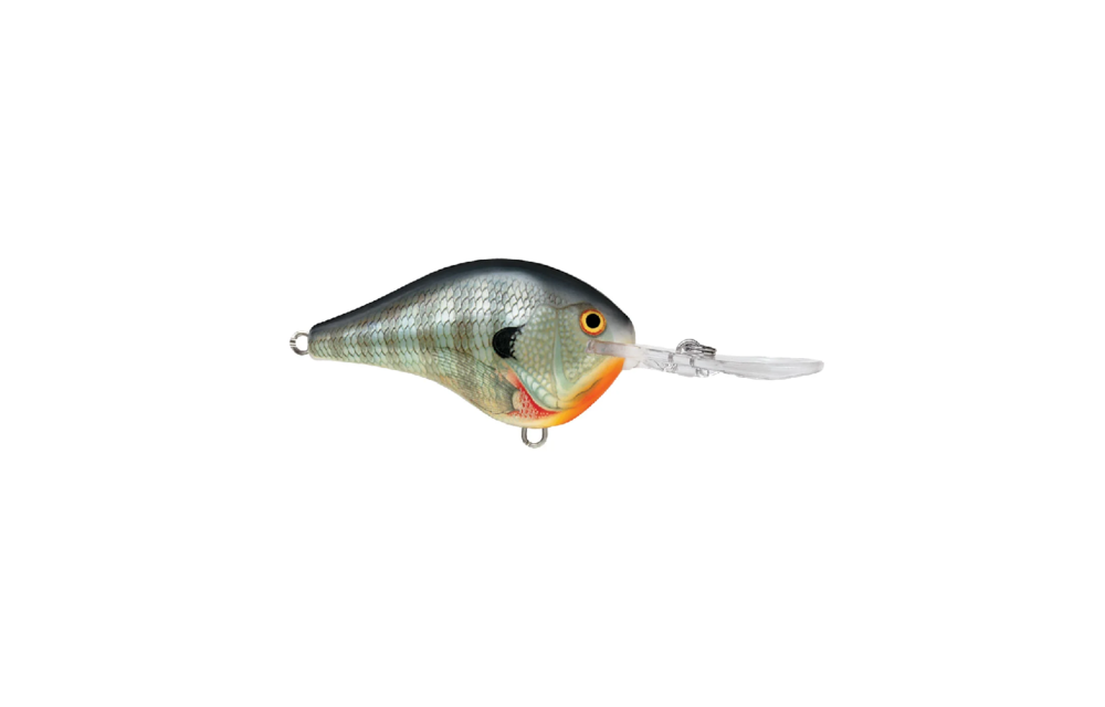 Rapala Dt Series Crankbaits