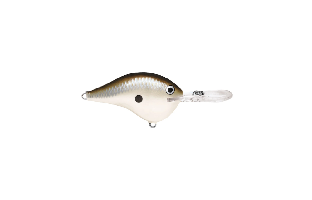 Rapala Dt Series Crankbaits