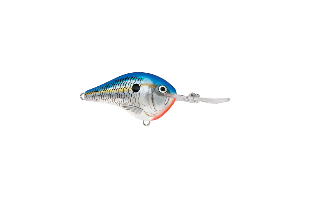 Rapala Dt Series Crankbaits