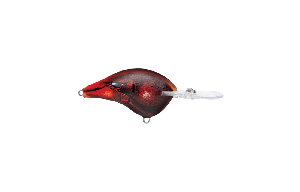 Rapala Dt Series Crankbaits