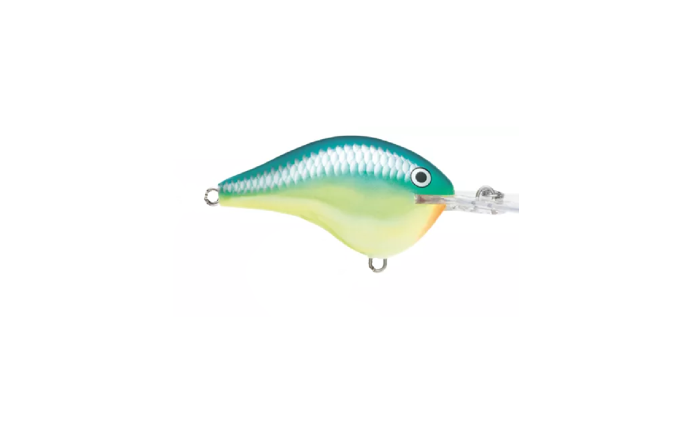 Rapala Dt Series Crankbaits