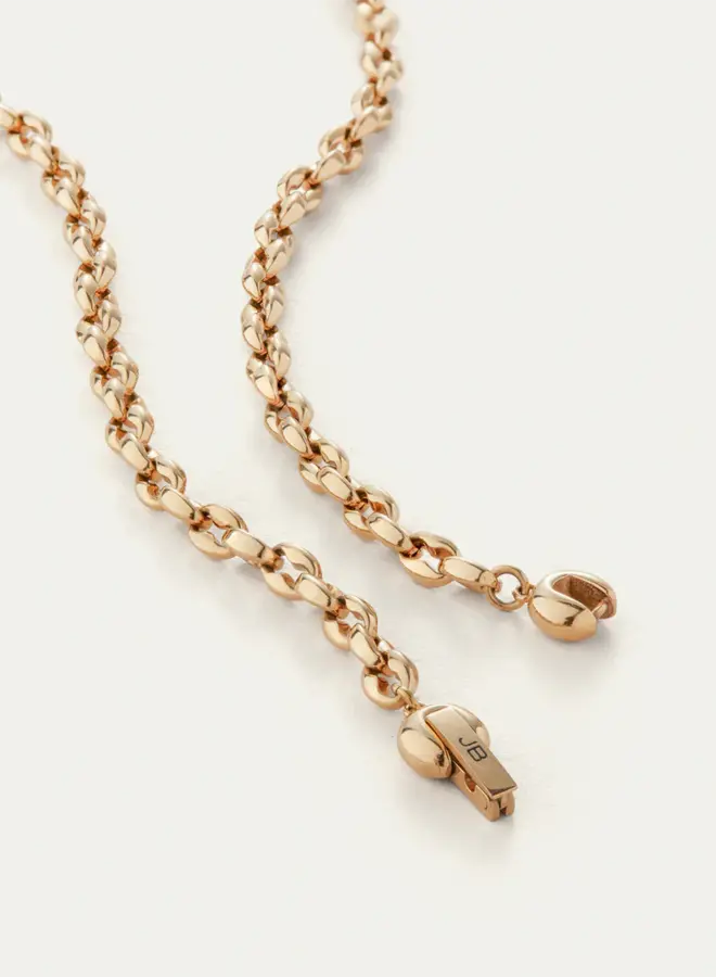 DHANI CHAIN