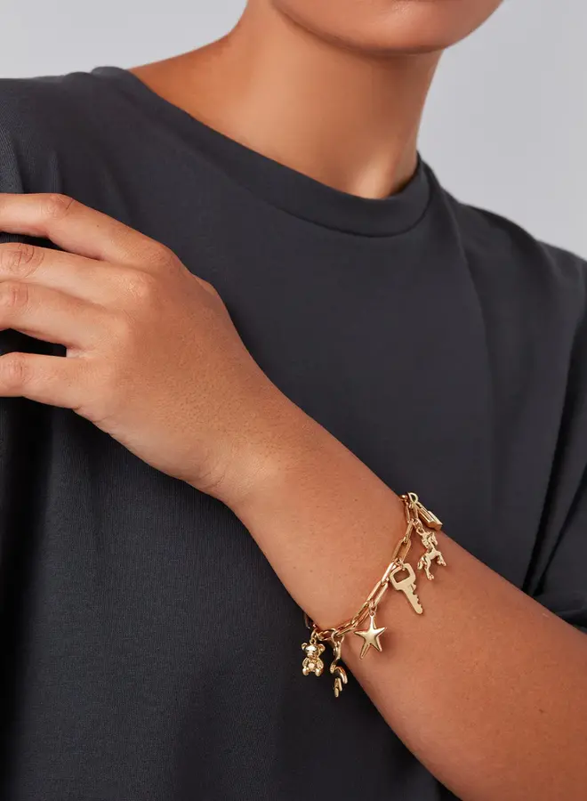 MUTLI WEAR CHARM KIT