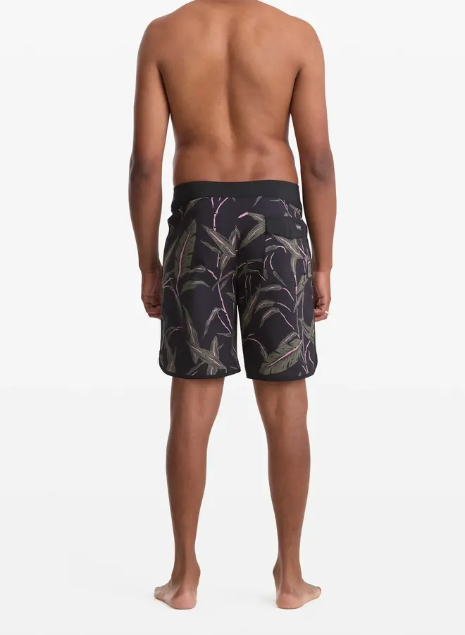 ENCOUNTER SCALLOP MOD