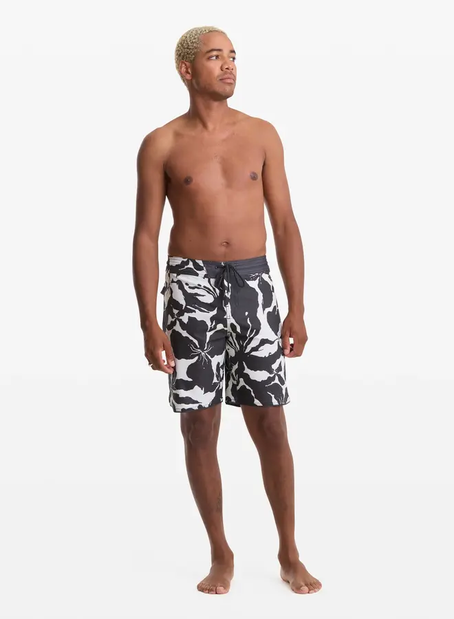 CONTACT SCALLOP STNY 19