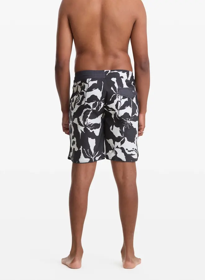 CONTACT SCALLOP STNY 19