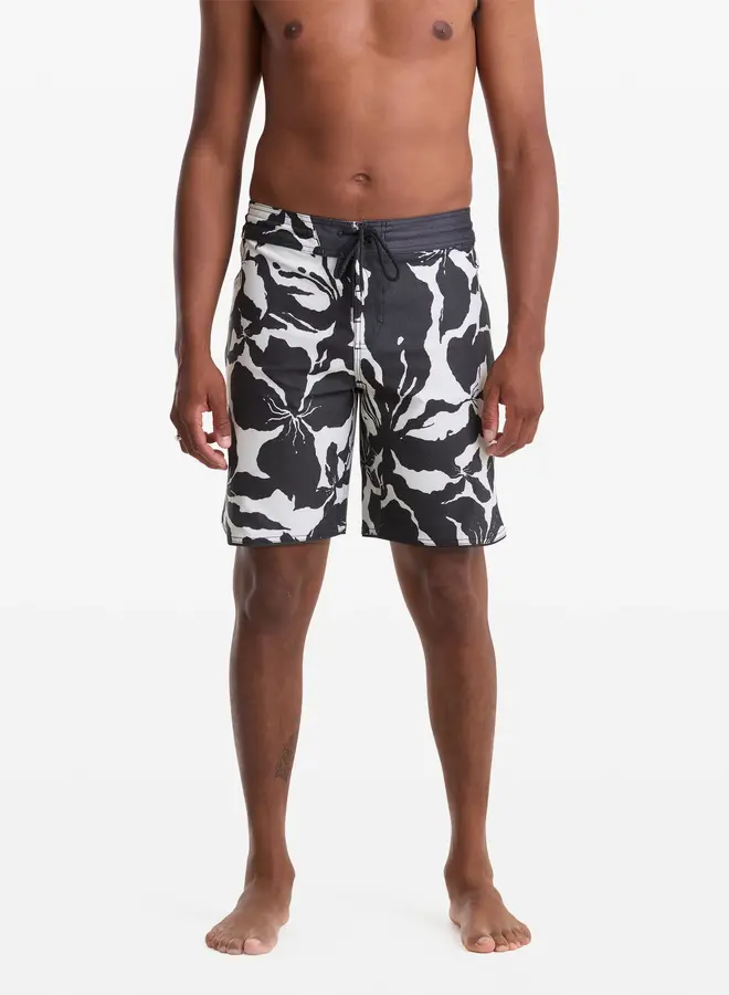 CONTACT SCALLOP STNY 19