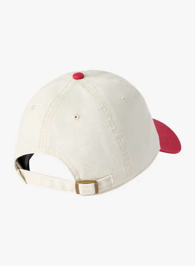 SURF DAD HAT