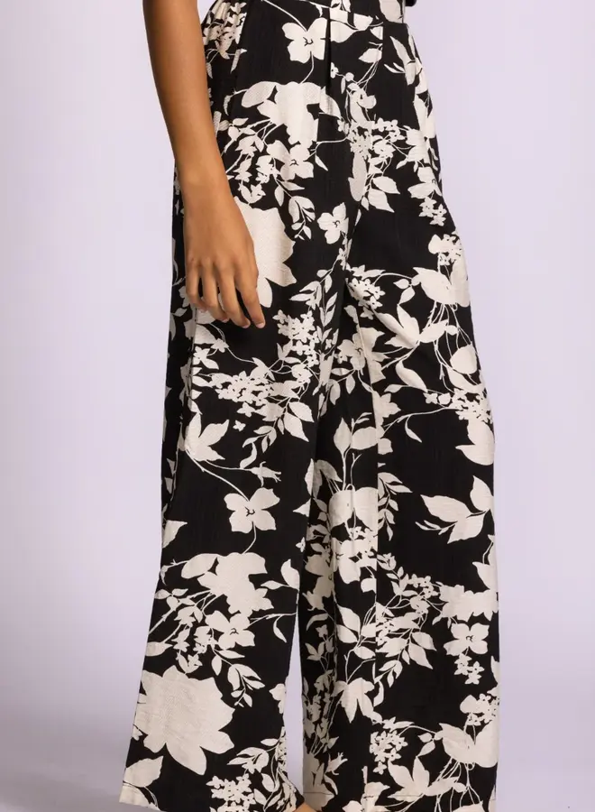TOLUCA PANT