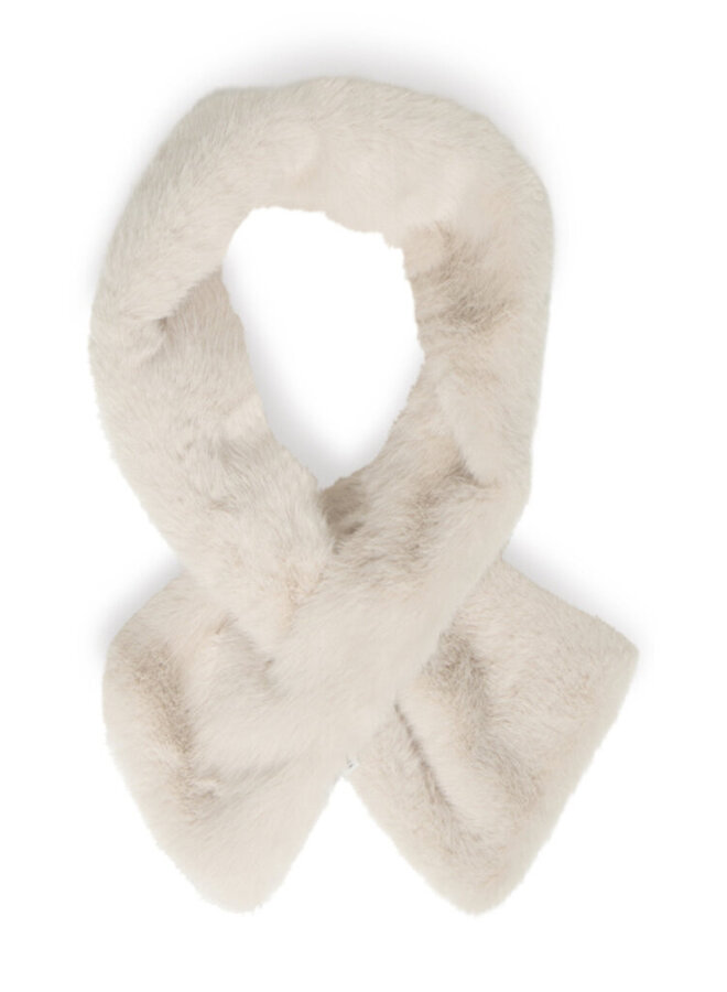 EBNA SCARF