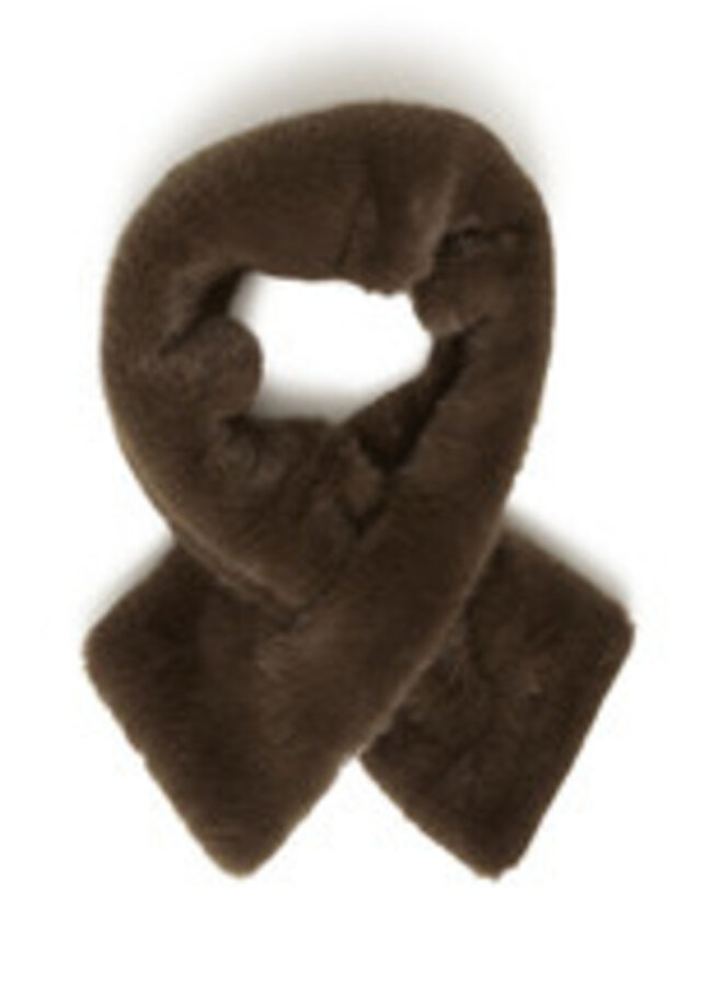 EBNA SCARF