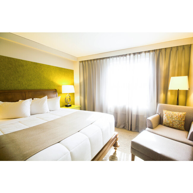 10% Discount on bike rentals & guided tours for CHAMPLAIN HOTEL's  guests