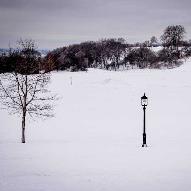 Location de ski-raquette