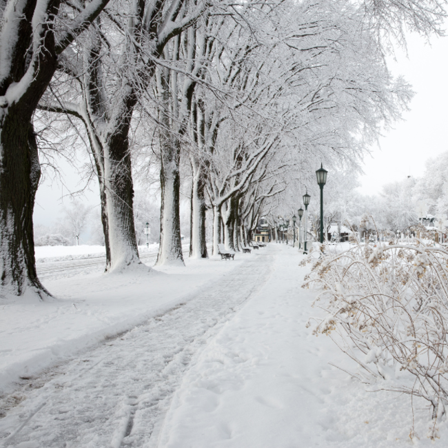 Location de ski-raquette