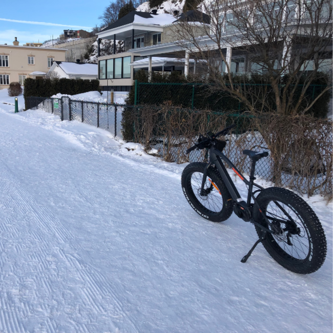 Electric Fat Bike Rental for Adults