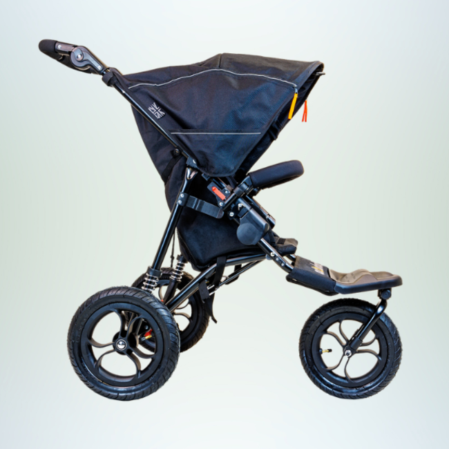 Stroller rental