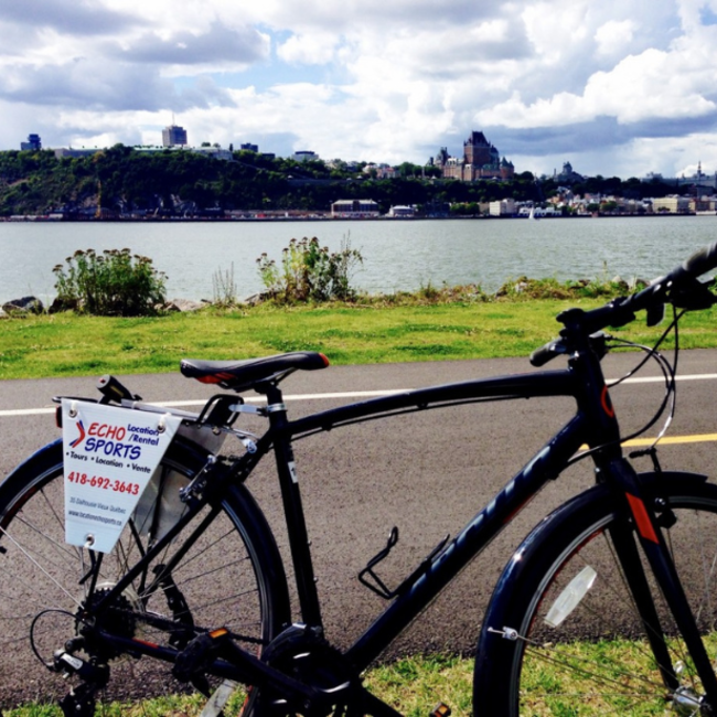 Location de vélo de ville pour adulte