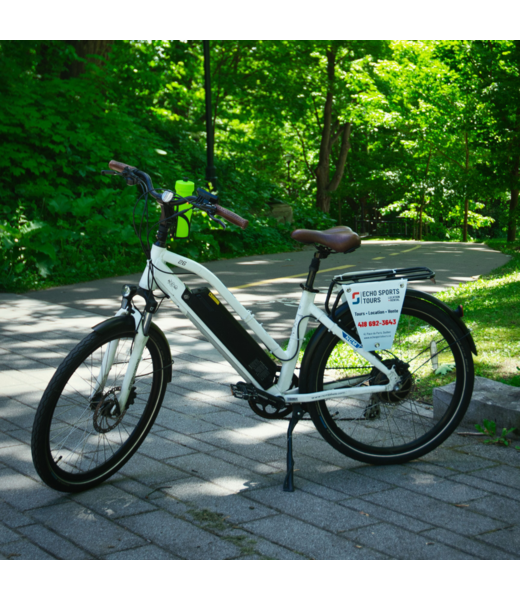 Electric bike rental