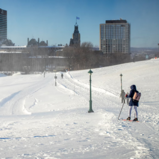 Cross-Country Skiing Excursion Winter Adventure